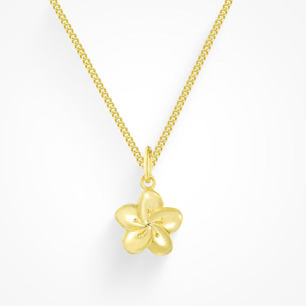 Anna Elegant Minimalist Necklace Versatile
