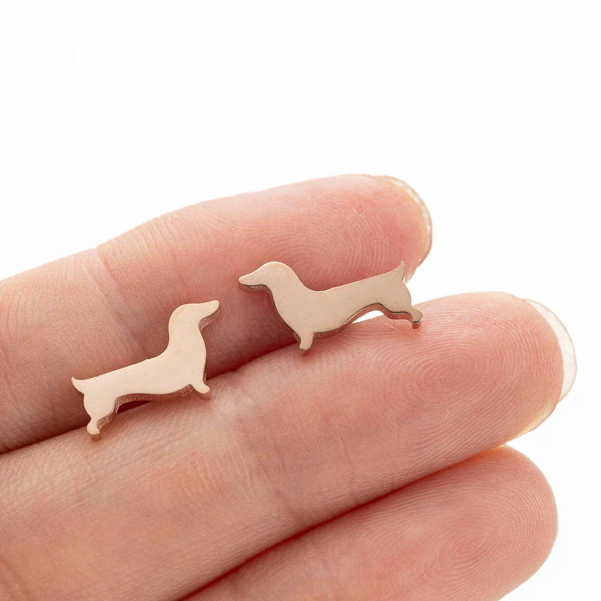 Cercei Dachshund